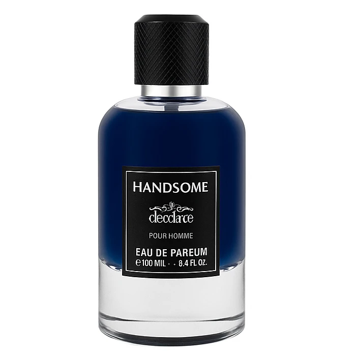 ادو پرفیوم مردانه دکادرس مدل Handsome  با رایحه تلخ و خنک 100 میلی لیتر