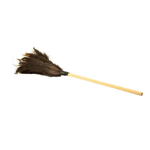 گردگیر آلین مدل Ostrich Feather 4