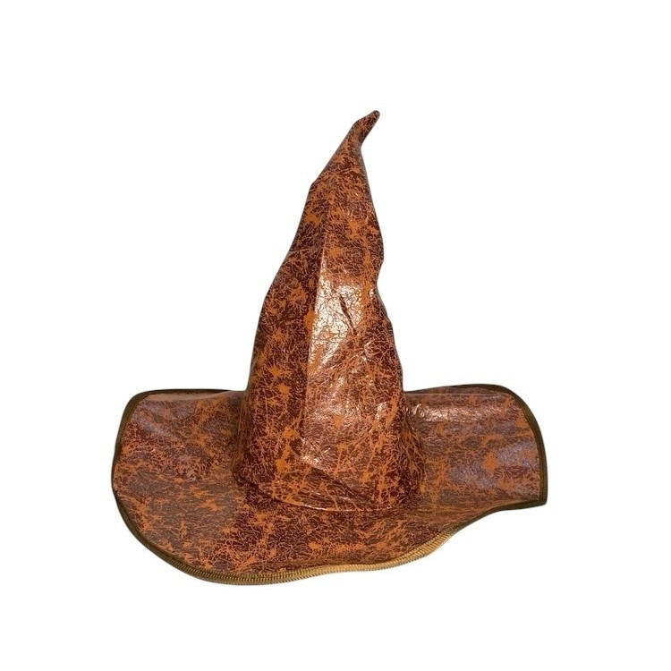 ابزار نمایشی مدل کلاه جادوگری هری پاتر 3