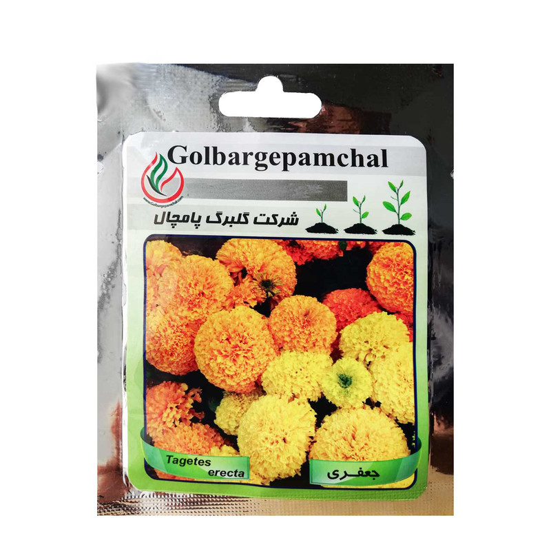 بذر گل جعفری گلبرگ پامچال کد GP26