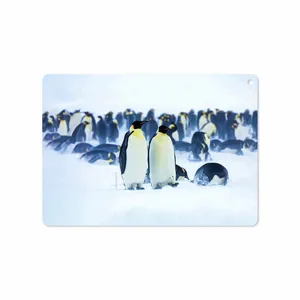 MAHOOT Penguin Cover Sticker for Apple iPad Air 2 2014 A1567