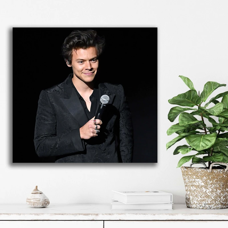 تابلو شاسی آتریسا مدل هری استایلز Harry Styles