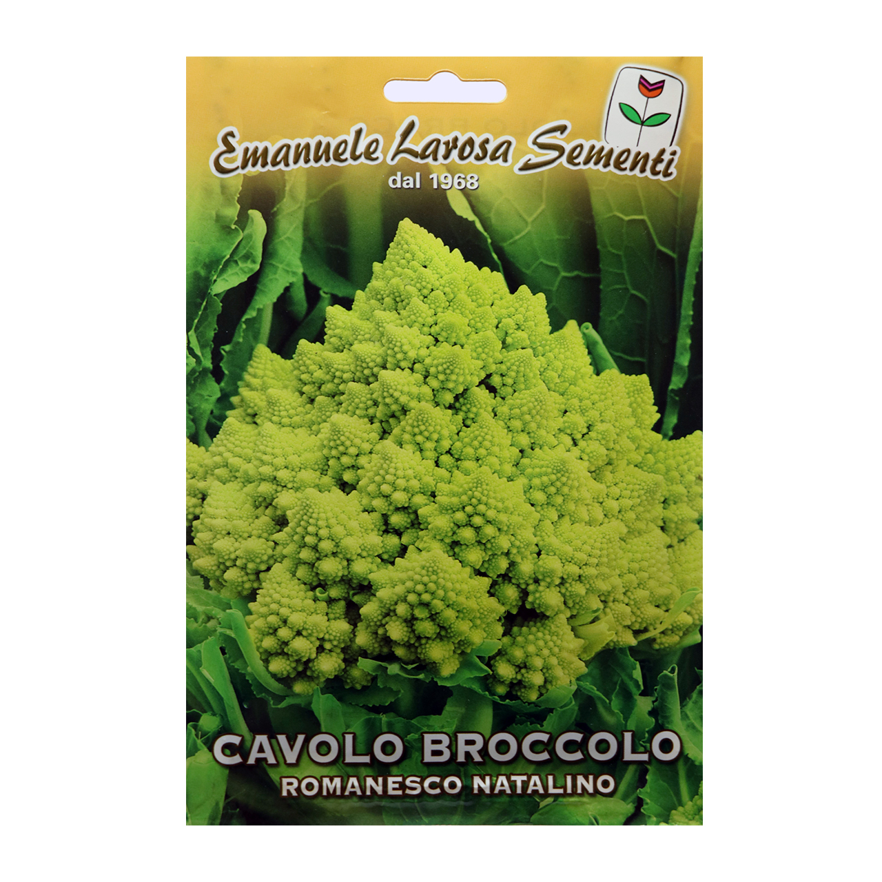 بذر کلم رومانسکو