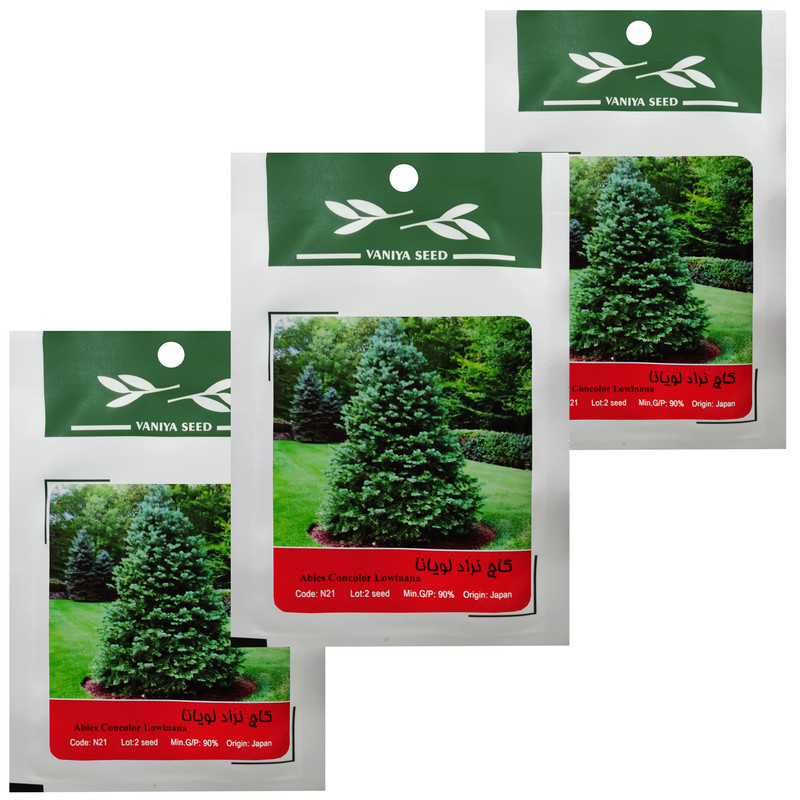 بذر بنسای کاج لویانا وانیا سید مدل T28 بسته 3 عددی