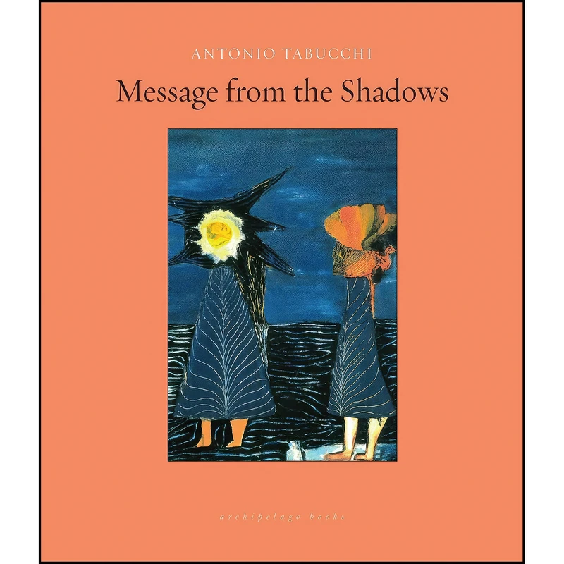 کتاب Message from the Shadows اثر جمعي از نويسندگان انتشارات Archipelago