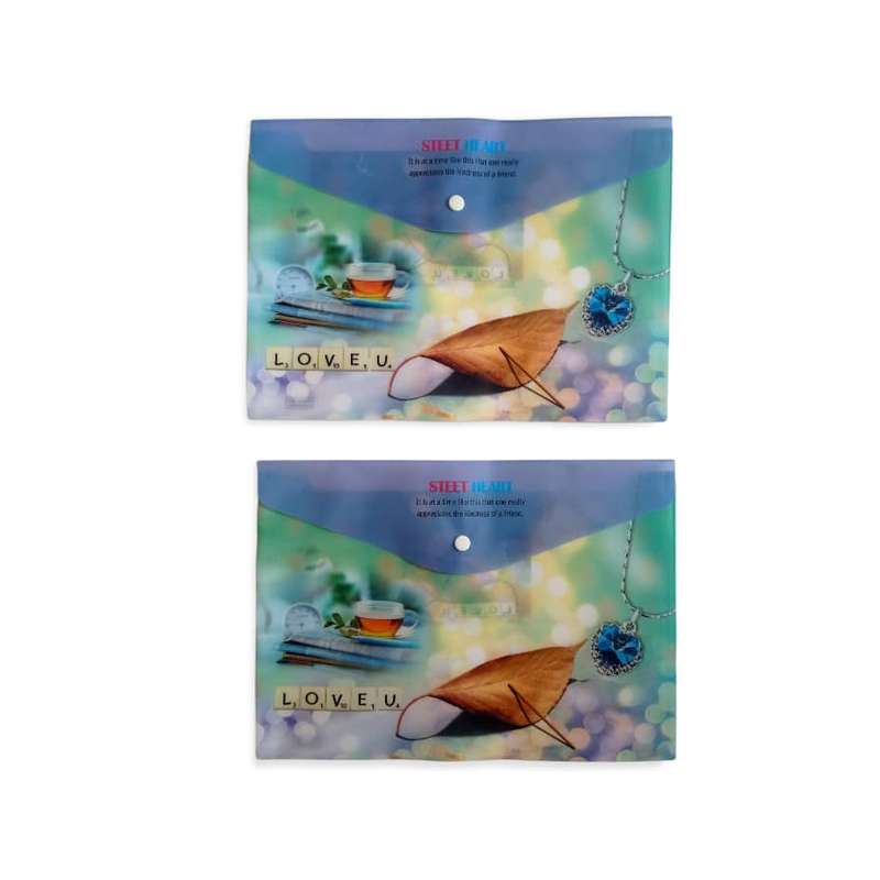 پوشه دکمه دار مدل A4-507 بسته 2 عددی