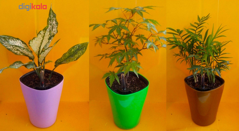 گلدان خودآبرسان گلوین مدل CS1