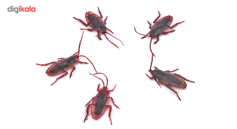 بسته آموزشی کودکان با حشرات بسته 5 عددی سوسک