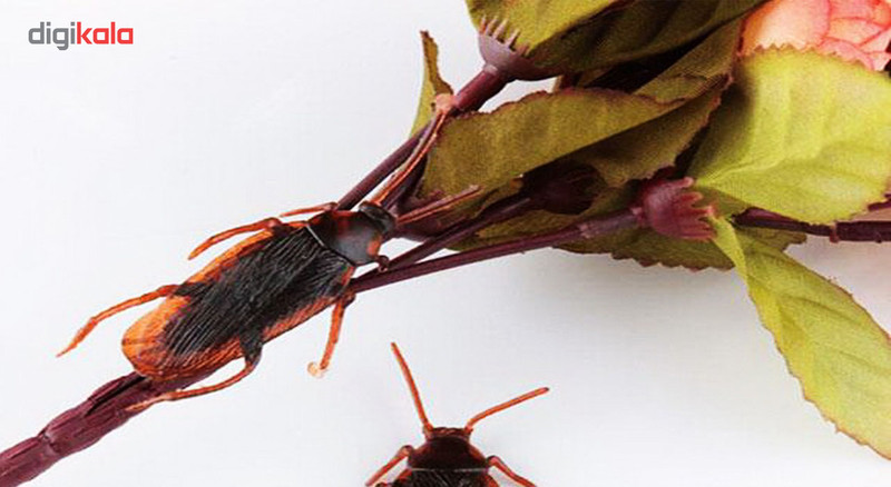 بسته آموزشی کودکان با حشرات بسته 5 عددی سوسک