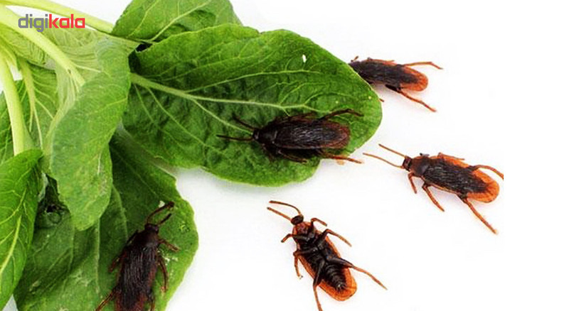 بسته آموزشی کودکان با حشرات بسته 5 عددی سوسک