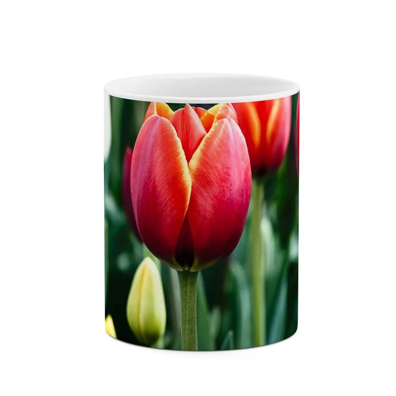 ماگ کاکتی مدل گل کد mgh12020