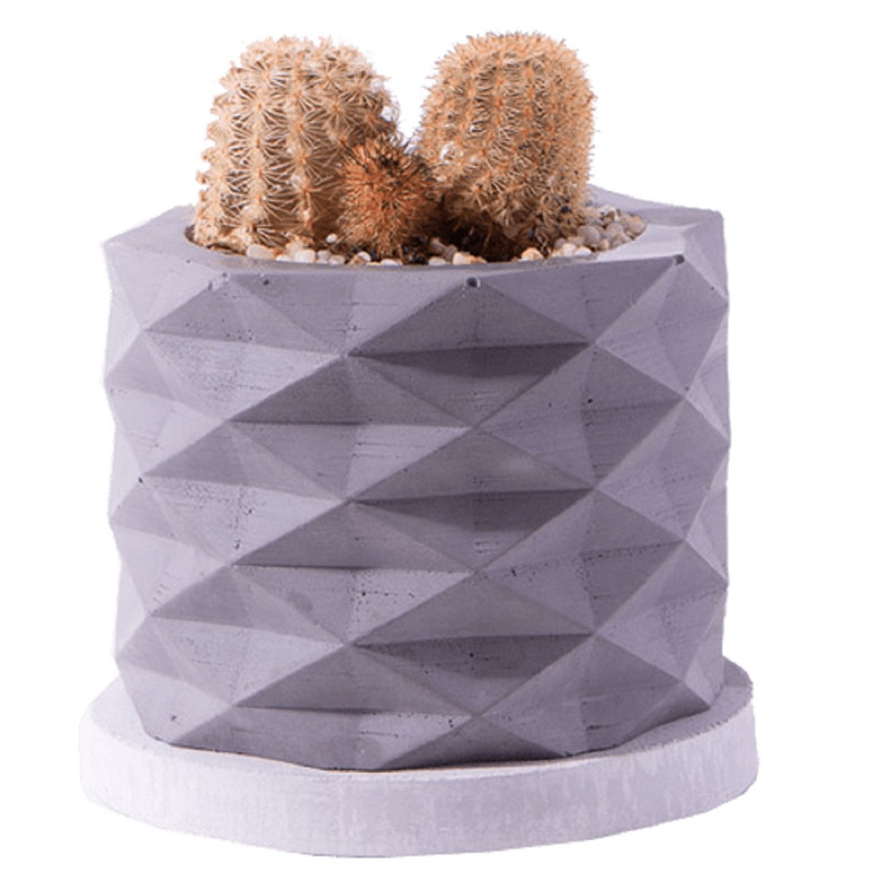 گیاه طبیعی کاکتوس اچینو سرئوس مدل K-08 گیاه طبیعی کاکتوس اچینو سرئوس مدل K-08