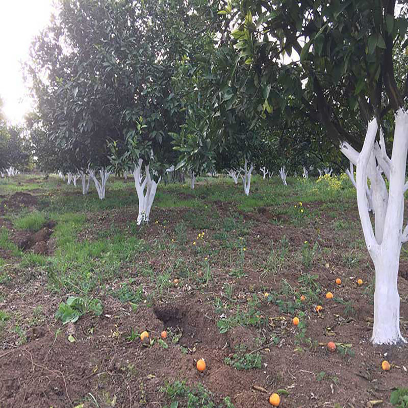 محافظ تنه درخت پدیده مدل Nanopadide-1K وزن 1 کیلوگرم محافظ تنه درخت پدیده مدل Nanopadide-1K وزن 1 کیلوگرم