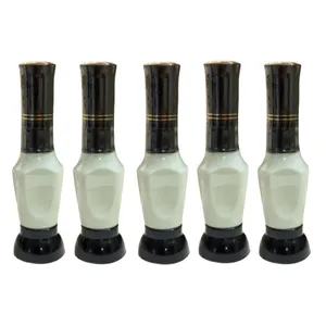 قلم خشگیر بدنه سفید خودرو کد 29020R حجم 15 میلی لیتر مجموعه 5 عددی