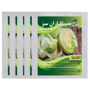 بذر کاهو پیچ گلباران سبز بسته 5 عددی