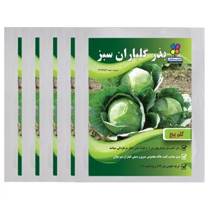 بذر کلم پیچ گلباران سبز بسته 5 عددی