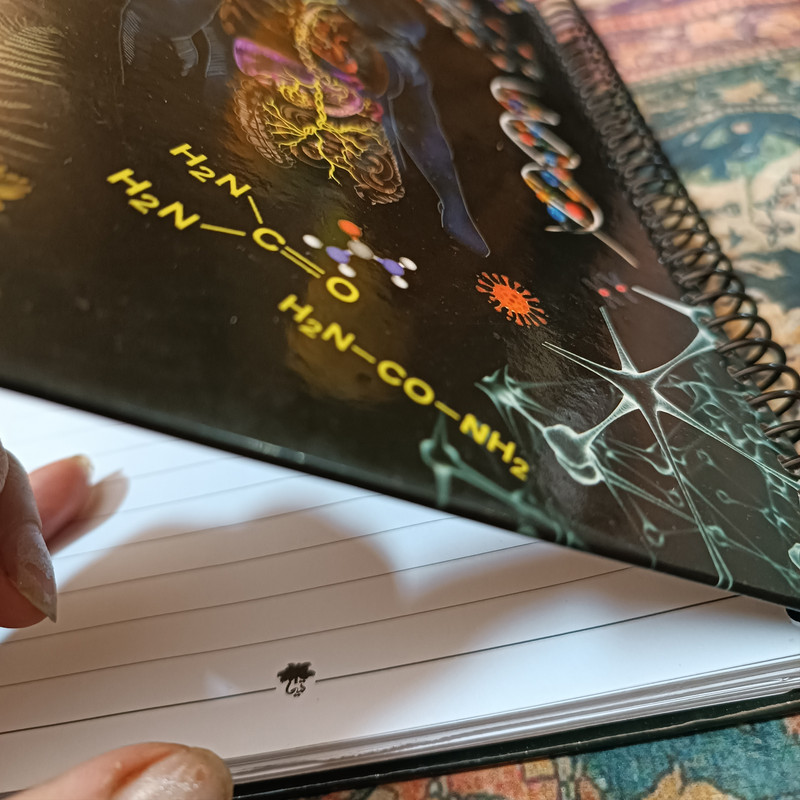 دفتر مشق 100 برگ تیما مدل زیست شناسی