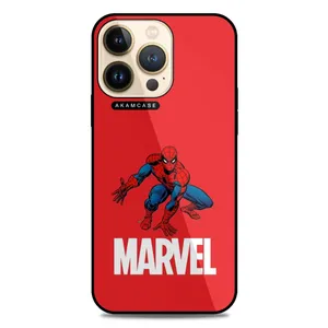 AKAM AMC-WA13PRO-SPIDER MAN12 Cover For Apple iPhone 13 Pro