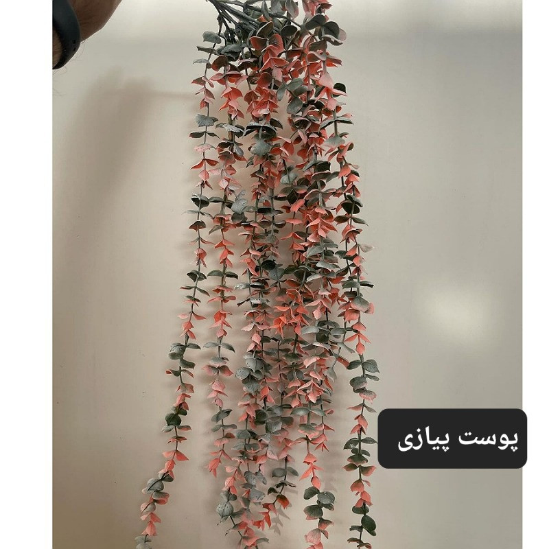 گل مصنوعی مدل آویز شمشاد برفی کد PAL.5550 گل مصنوعی مدل آویز شمشاد برفی کد PAL.5550