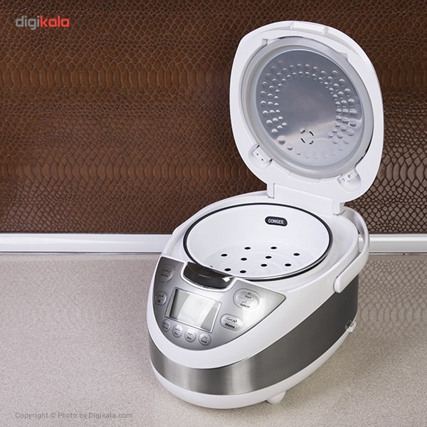 پلوپز هاردستون مدل RC4060