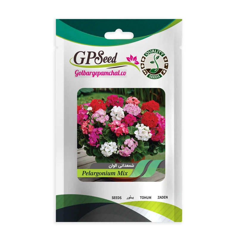 بذر گل شمعدانی الوان گلبرگ پامچال کد GPF-166