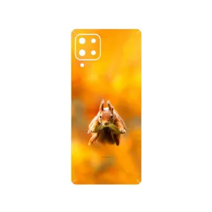 MAHOOT Squirrel Cover Sticker for Samsung Galaxy M62