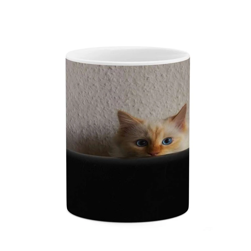 ماگ کاکتی مدل گربه کد mgh16291