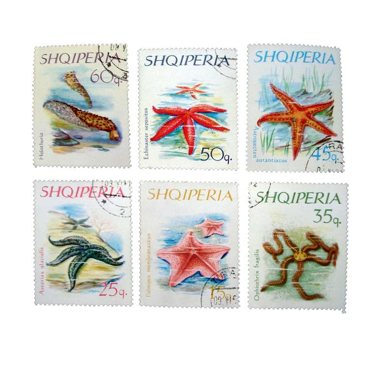 تمبر یادگاری مدل ستاره دریایی کد DS2252 مجموعه 6 عددی
