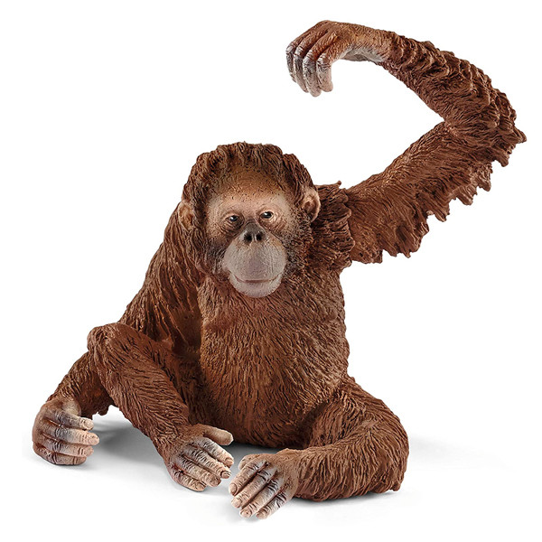 فیگور مدل Orangutan کد 14775