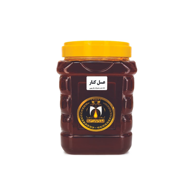 عسل طبیعی کنار مهوین - 3000 گرم 