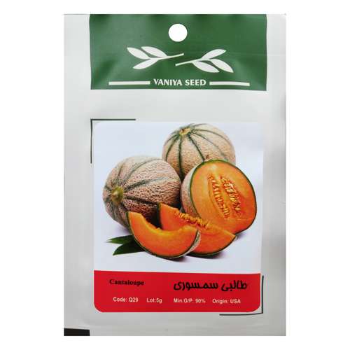 بذر طالبی سمسوری وانیا سید مدل Q29