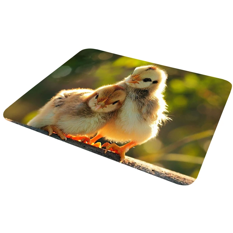 ماوس پد آکو مدل MP804