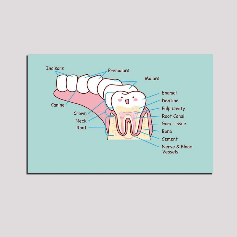 تابلو شاسی مدل دندان کد 118