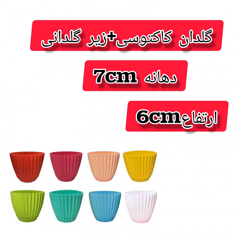 گلدان مدل کاکتوسی بسته 8عددی