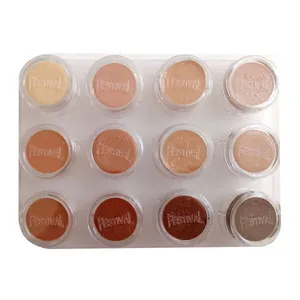 پالت کانتورینگ و گریم فستیوال مدل 12g