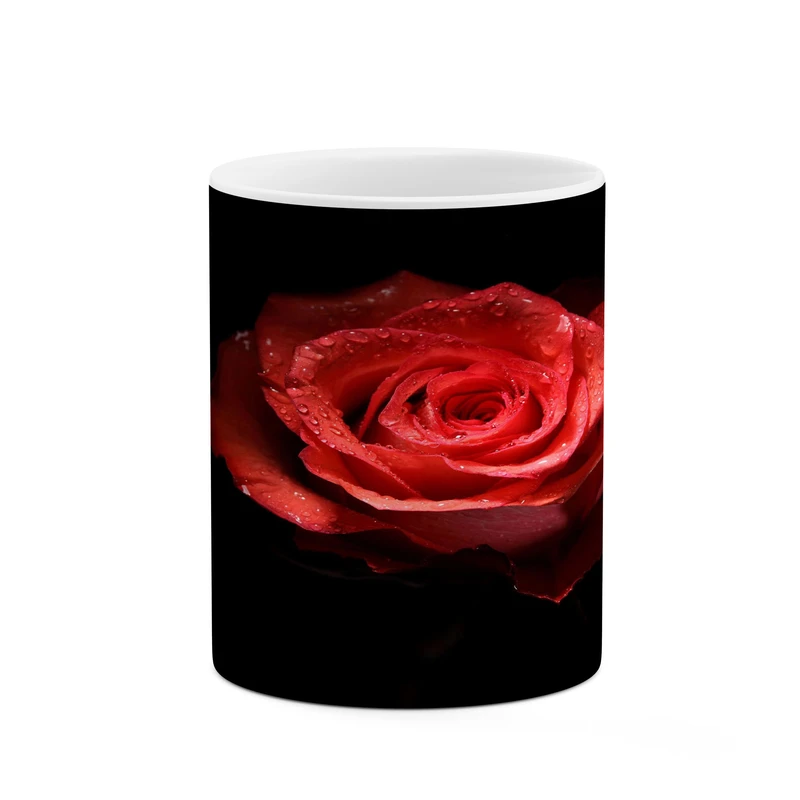 ماگ کاکتی مدل گل رز کد mgh18056