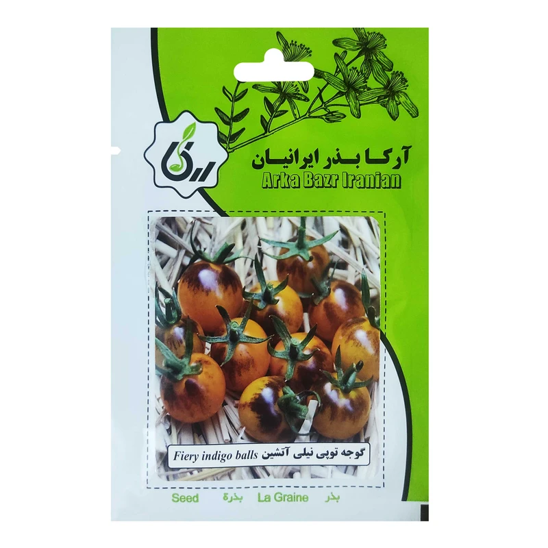 بذر گوجه توپی نیلی آتشین آرکا بذر ایرانیان کد 143-ARK