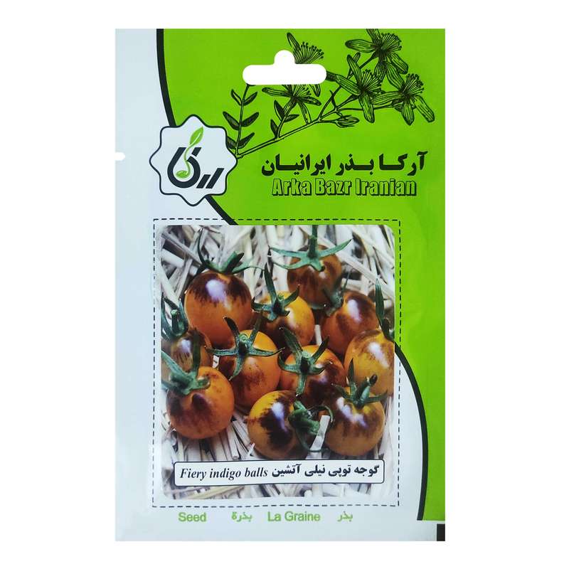 بذر گوجه توپی نیلی آتشین آرکا بذر ایرانیان کد 143-ARK