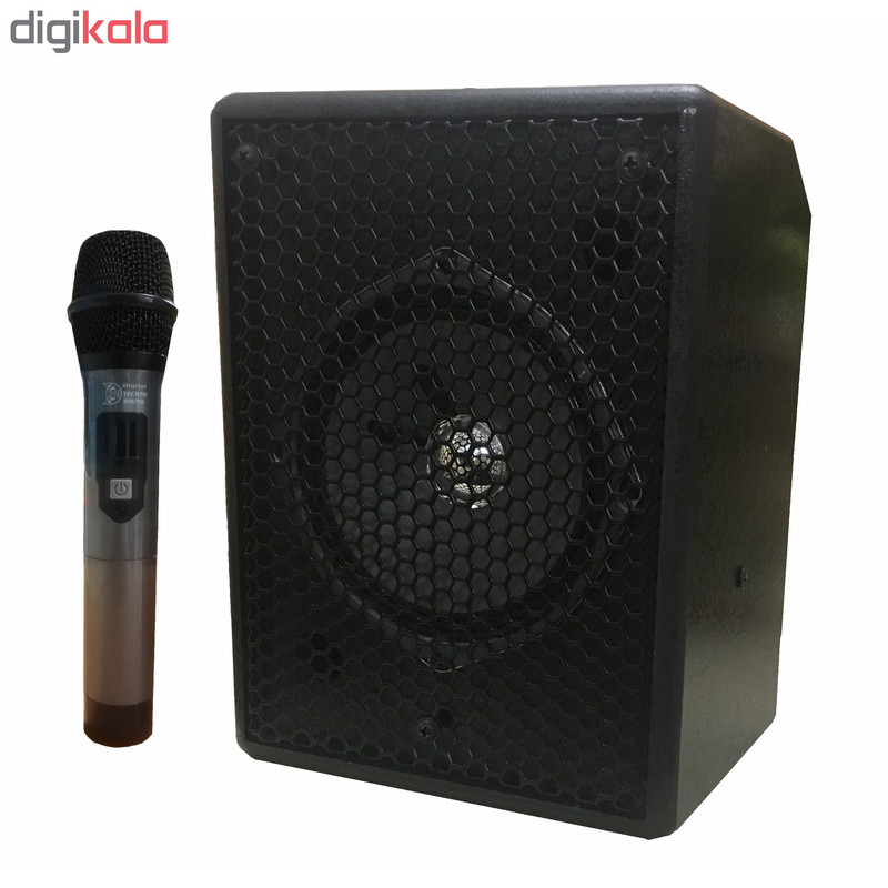 اکو همراه تکنوسوند مدل TS60W به همراه میکروفن