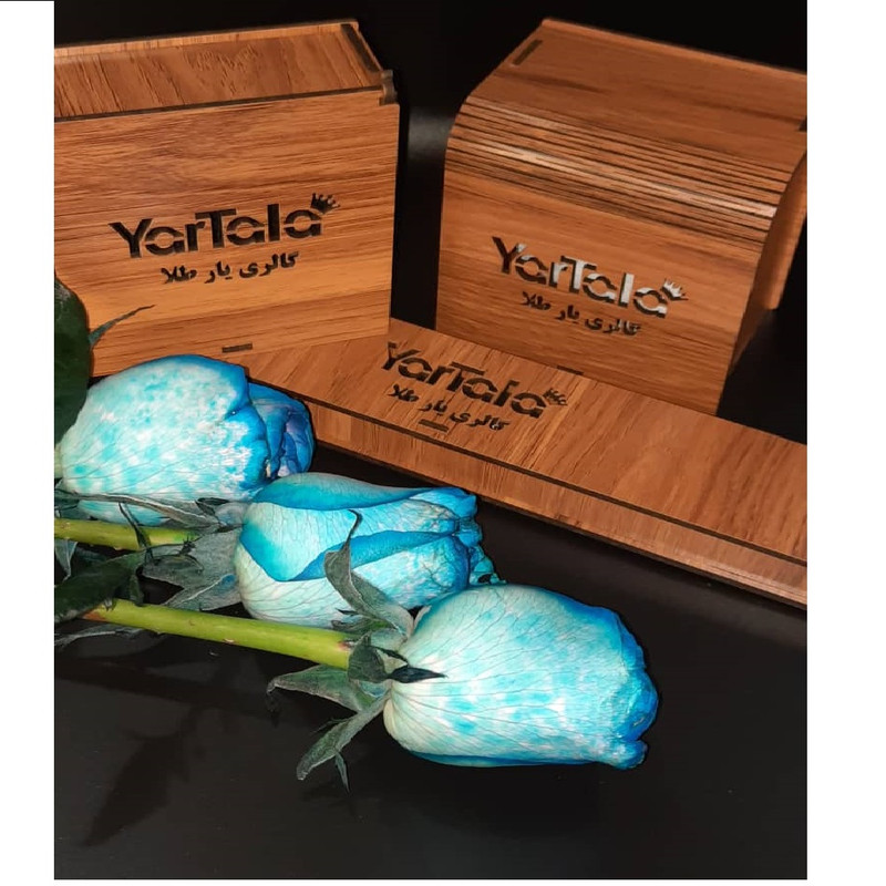 آویز گردنبند طلا 18 عیار زنانه گالری یارطلا مدل توپ کد PLL31