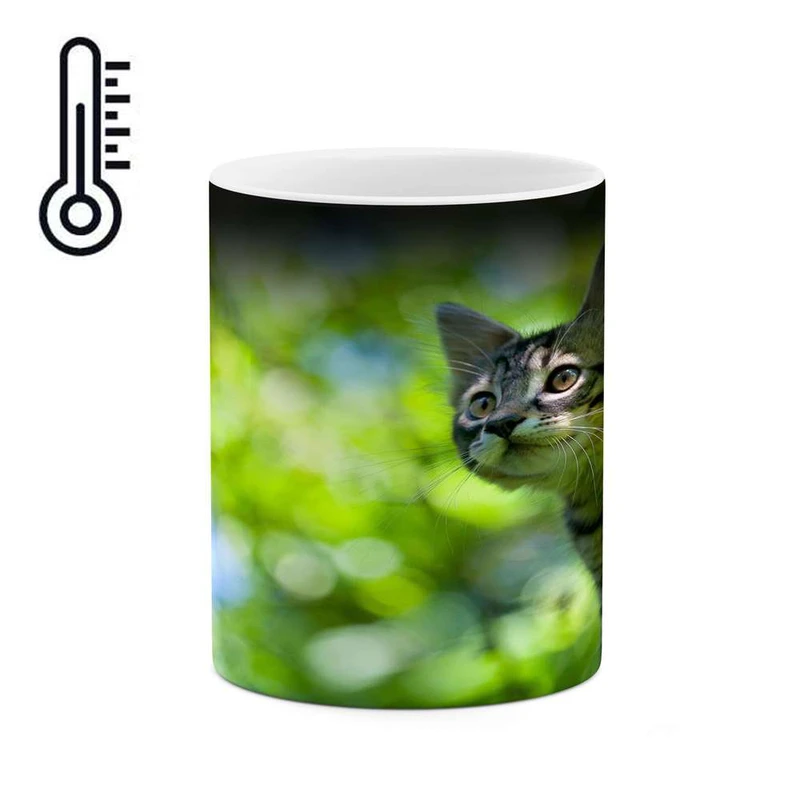 ماگ حرارتی کاکتی مدل گربه کد mgh17974