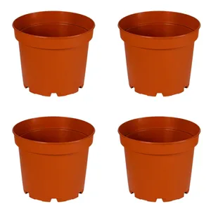 گلدان مدل پاچیرا کد 14 بسته 4 عددی