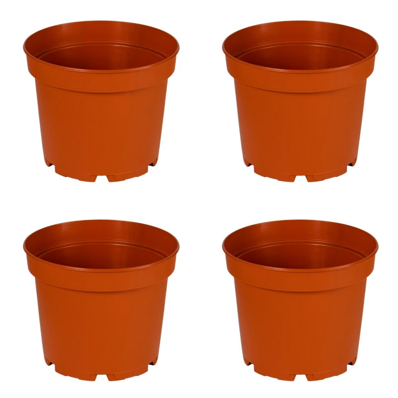 گلدان مدل پاچیرا کد ۱۷ بسته ۴ عددی