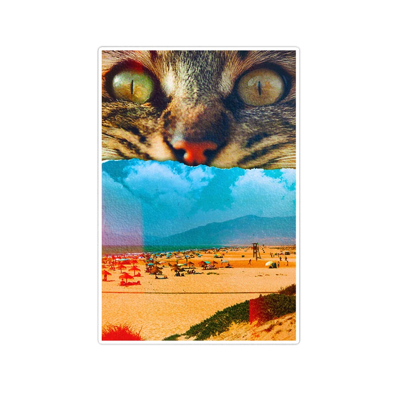 استیکر لپ تاپ ویندی دیزاین طرح cat مدل 1408