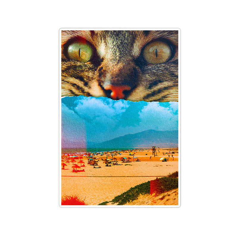 استیکر لپ تاپ ویندی دیزاین طرح cat مدل 1408