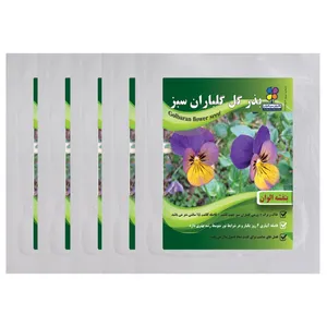 بذر گل بنفشه الوان گلباران سبز بسته 5 عددی