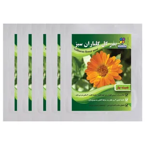 بذر گل همیشه بهار گلباران سبز بسته 5 عددی