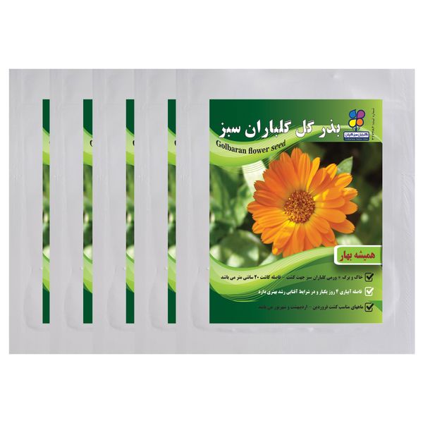 بذر گل همیشه بهار گلباران سبز بسته 5 عددی بذر گل همیشه بهار گلباران سبز بسته 5 عددی