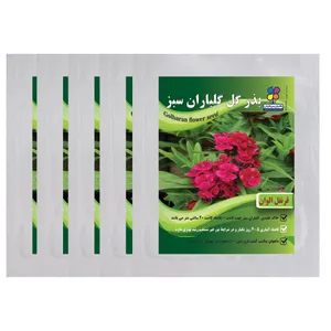 بذر گل قرنفل گلباران سبز بسته 5 عددی