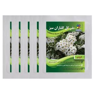 بذر گل عروس گلباران سبز بسته 5 عددی